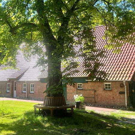 Ferienwohnung Mit Garten In Meyenburg - Keine Monteure Schwanewede Exterior foto